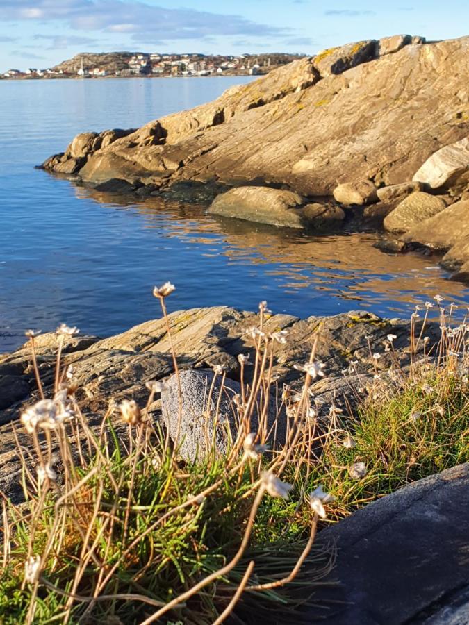 Skaergardsidyll Pa Bjoerkoe Med Gangavstand Till Havet Skarvik Экстерьер фото